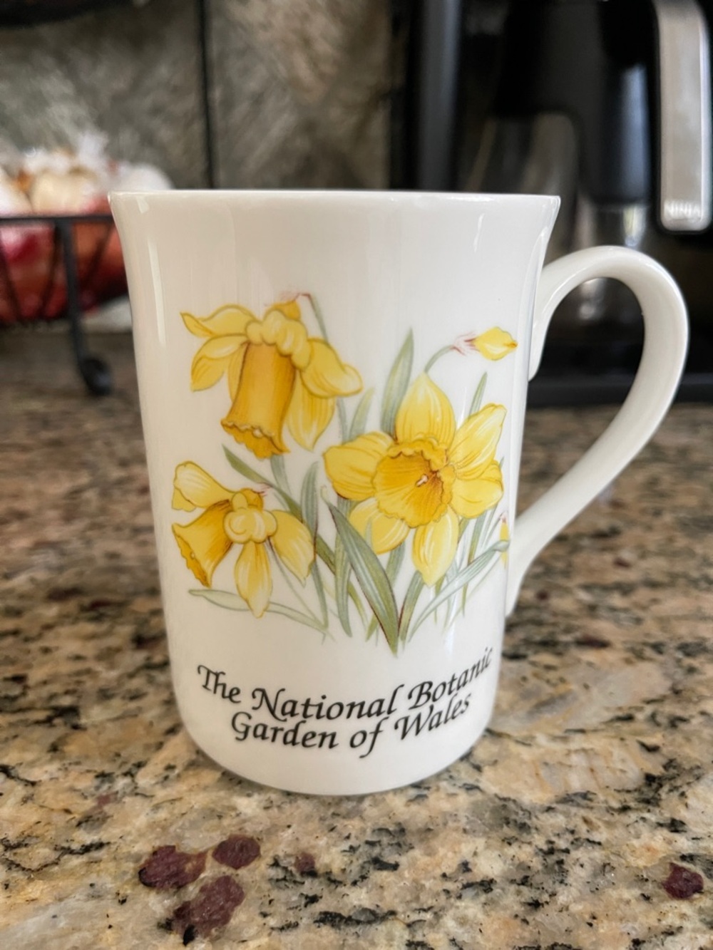 Y Ddraig Pottery ~ “The National Botanic Garden of Wales” Mug/teacup 10 oz